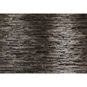 wall mural Birkenrinde anthracite gray from Komar