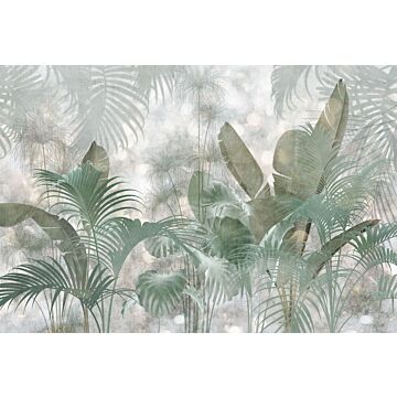 wall mural Paillettes Tropicales grayish green from Komar
