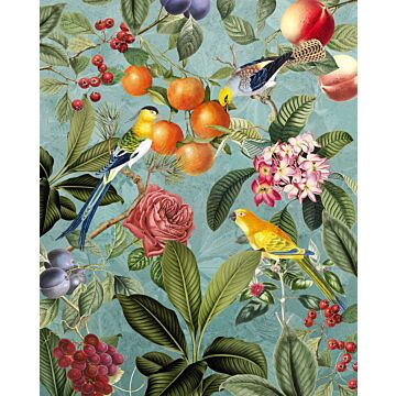 wall mural Birds and Berries multicolor from Komar