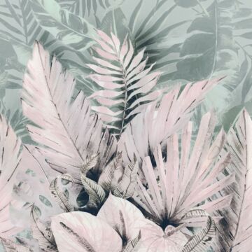 wall mural Palmiers Tropicaux pink and green from Komar