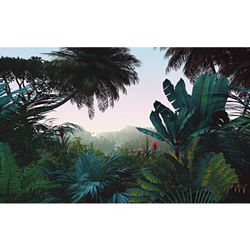 wall mural Jungle Morning green and teal from Komar