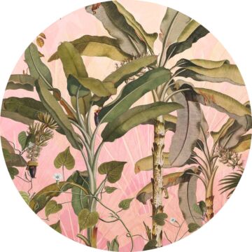 self-adhesive round wall mural botanical pink and green from Sanders & Sanders
