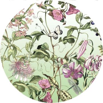 self-adhesive round wall mural  green and pink from Sanders & Sanders