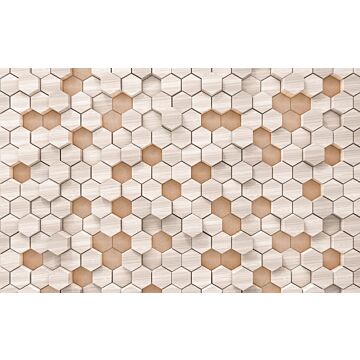 wall mural hexagon beige and sand color from Sanders & Sanders
