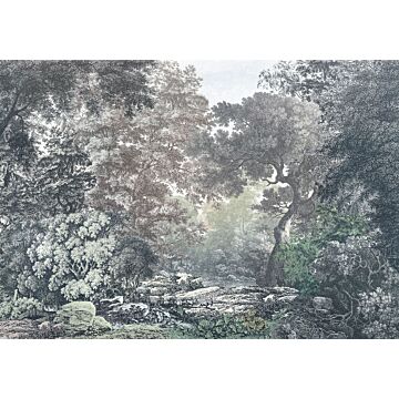 wall mural fairytale forest gray and green from Sanders & Sanders