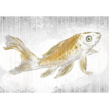 wall mural koi fish yellow and gray from Sanders & Sanders