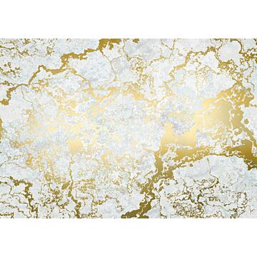 wall mural  gold and gray from Sanders & Sanders