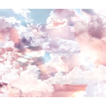 wall mural clouds pink and blue from Sanders & Sanders