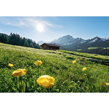 wall mural alpine landscape green and blue from Sanders & Sanders