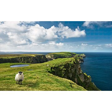 wall mural ireland landscape green and blue from Sanders & Sanders