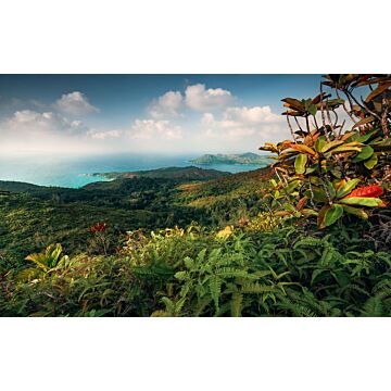 wall mural tropical landscape green and blue from Sanders & Sanders