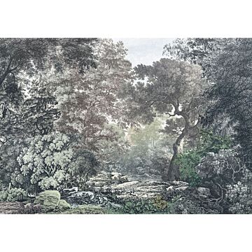 wall mural forest gray from Komar