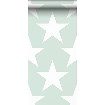 wallpaper stars mint green from Sanders & Sanders