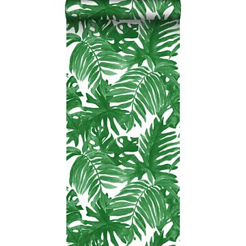 wallpaper palm leaves tropical jungle green from Sanders & Sanders