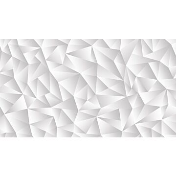 wall mural graphic 3D light gray from Sanders & Sanders
