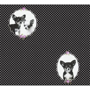 wallpaper animals black and dark purple from A.S. Création