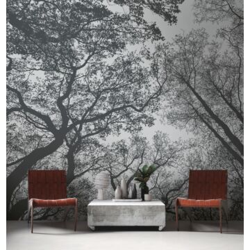 wall mural wooded landscape gray and black from One Wall one Role