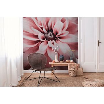 wall mural floral pattern pink, white and gray from One Wall one Role